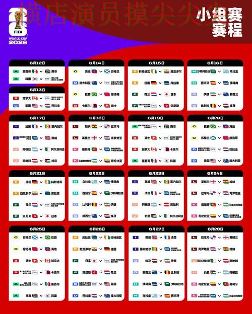 汇总世界杯买球网站：从真实体验到直播观看全流程解析 - FIFA World Cup 2026